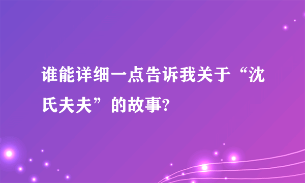 谁能详细一点告诉我关于“沈氏夫夫”的故事?