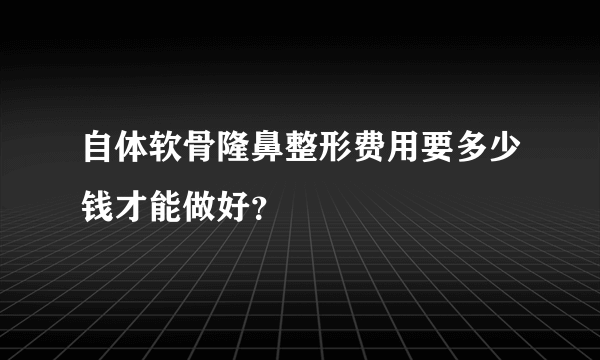 自体软骨隆鼻整形费用要多少钱才能做好？