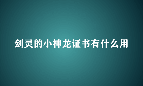 剑灵的小神龙证书有什么用