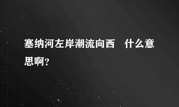 塞纳河左岸潮流向西   什么意思啊？