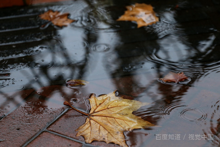 雨水节气 吃什么