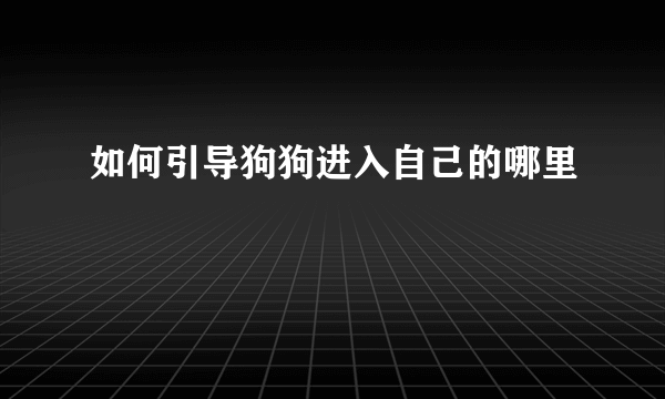 如何引导狗狗进入自己的哪里