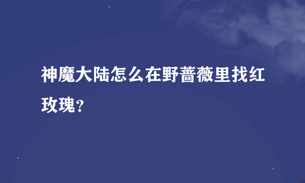 神魔大陆怎么在野蔷薇里找红玫瑰？