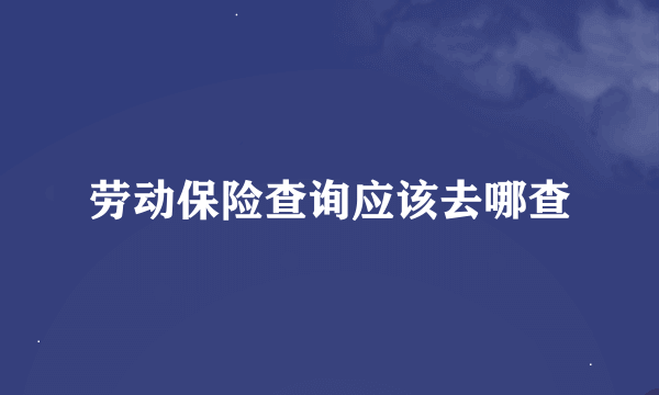 劳动保险查询应该去哪查