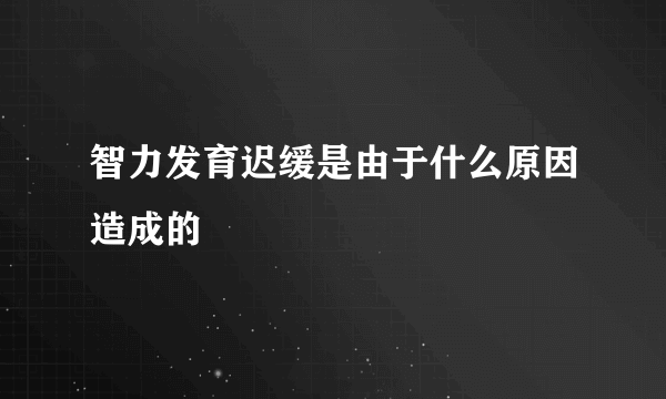 智力发育迟缓是由于什么原因造成的