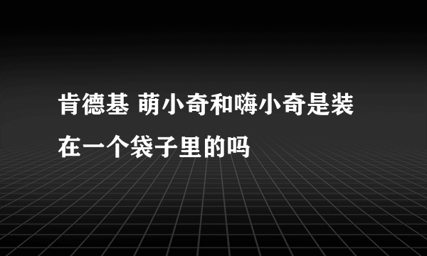 肯德基 萌小奇和嗨小奇是装在一个袋子里的吗