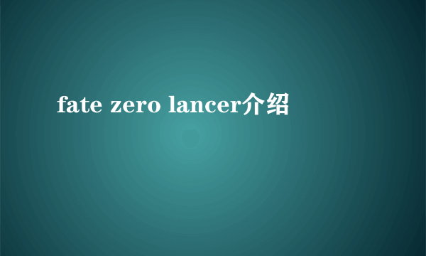 fate zero lancer介绍