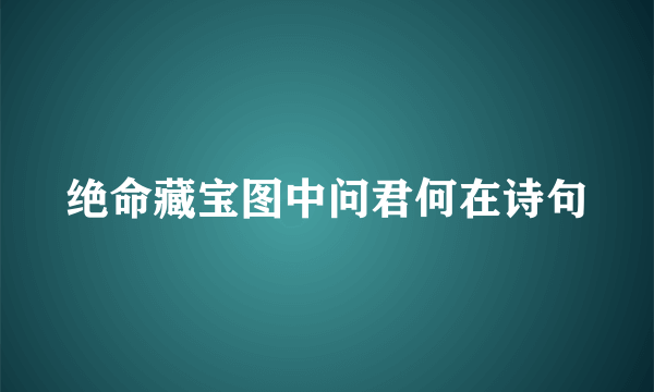 绝命藏宝图中问君何在诗句