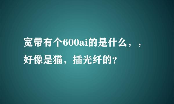 宽带有个600ai的是什么，，好像是猫，插光纤的？