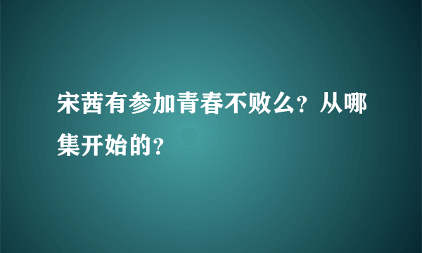 宋茜有参加青春不败么？从哪集开始的？