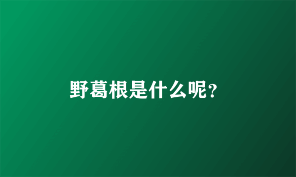 野葛根是什么呢？