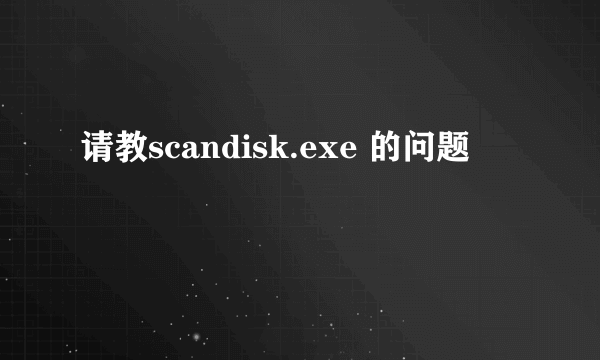 请教scandisk.exe 的问题