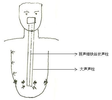 唱歌时唱假声有什么技巧？