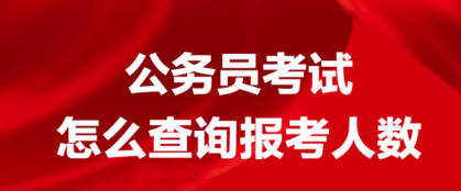 怎么查看公务员岗位多少人报名了