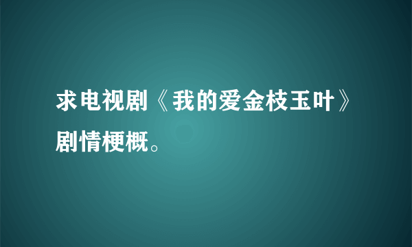 求电视剧《我的爱金枝玉叶》剧情梗概。