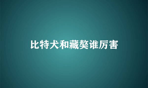 比特犬和藏獒谁厉害