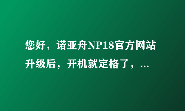 您好，诺亚舟NP18官方网站升级后，开机就定格了，没任何反应，怎么回事啊？