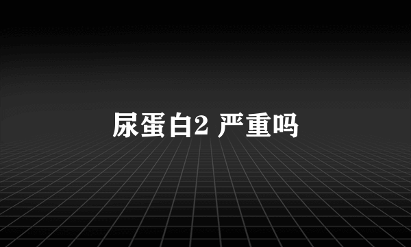 尿蛋白2 严重吗