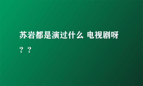 苏岩都是演过什么 电视剧呀 ？？