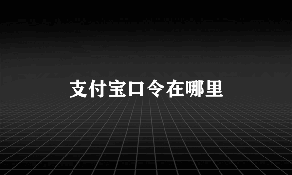 支付宝口令在哪里