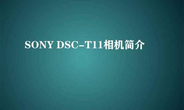 SONY DSC-T11相机简介