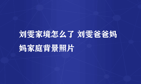 刘雯家境怎么了 刘雯爸爸妈妈家庭背景照片