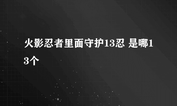 火影忍者里面守护13忍 是哪13个