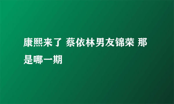 康熙来了 蔡依林男友锦荣 那是哪一期