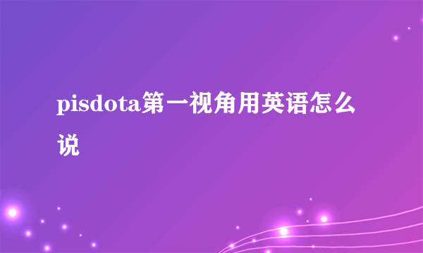 pisdota第一视角用英语怎么说