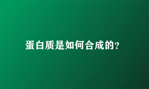 蛋白质是如何合成的？