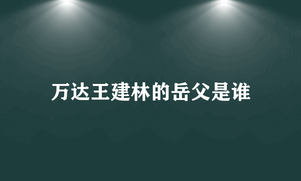 万达王建林的岳父是谁