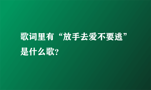 歌词里有“放手去爱不要逃”是什么歌？