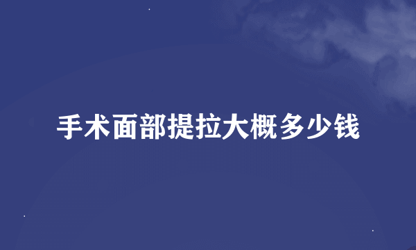 手术面部提拉大概多少钱