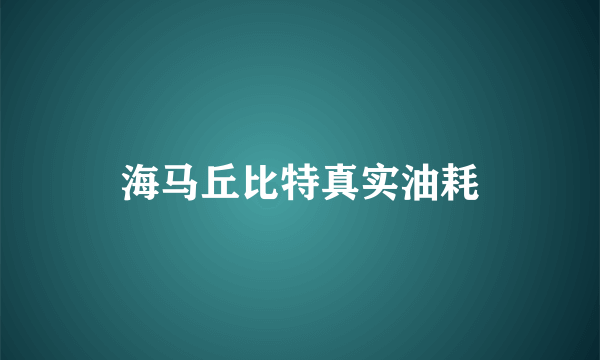 海马丘比特真实油耗