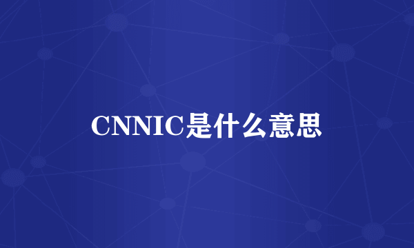 CNNIC是什么意思