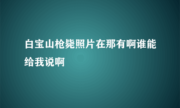 白宝山枪毙照片在那有啊谁能给我说啊