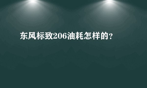 东风标致206油耗怎样的？