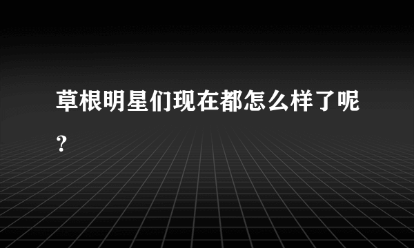 草根明星们现在都怎么样了呢？