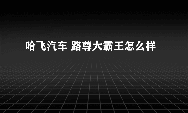 哈飞汽车 路尊大霸王怎么样