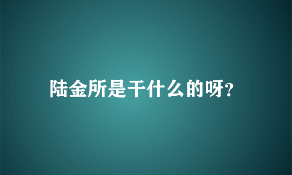 陆金所是干什么的呀？