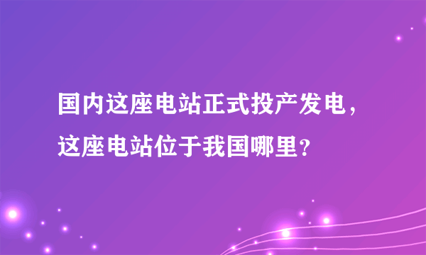 国内这座电站正式投产发电，这座电站位于我国哪里？