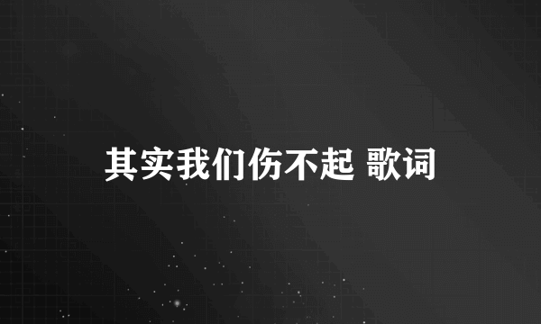 其实我们伤不起 歌词