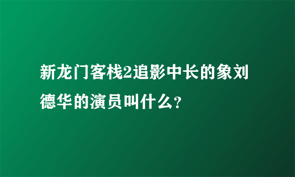 新龙门客栈2追影中长的象刘德华的演员叫什么？