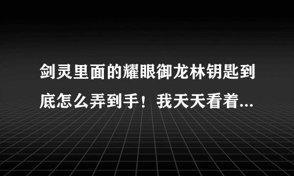 剑灵里面的耀眼御龙林钥匙到底怎么弄到手！我天天看着背包里面那一个个的宝藏，愁死我了……