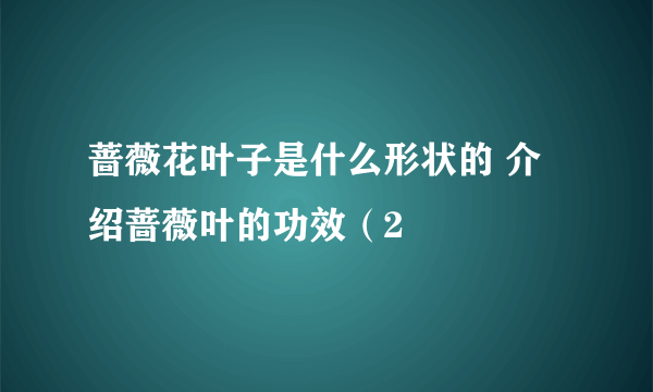 蔷薇花叶子是什么形状的 介绍蔷薇叶的功效（2