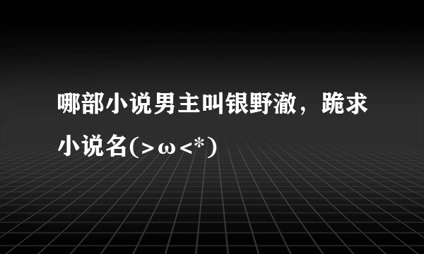 哪部小说男主叫银野澈，跪求小说名(>ω<*)