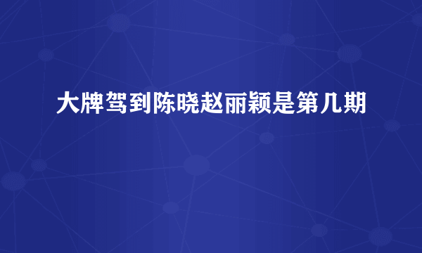 大牌驾到陈晓赵丽颖是第几期