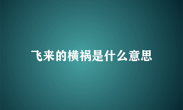 飞来的横祸是什么意思