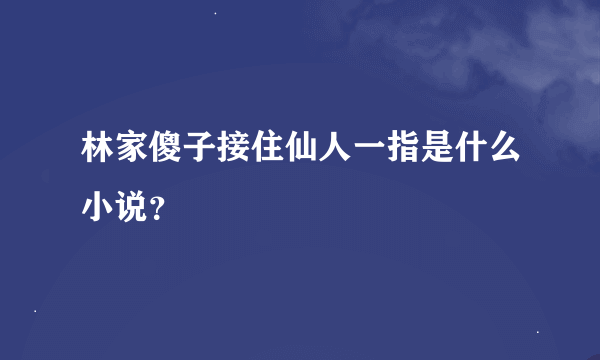 林家傻子接住仙人一指是什么小说？