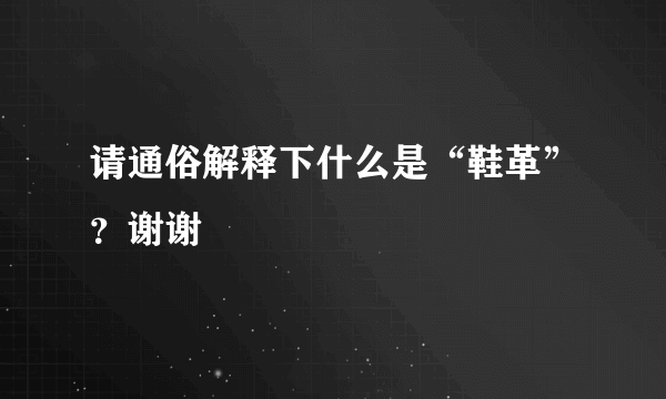 请通俗解释下什么是“鞋革”？谢谢